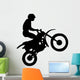 Freestyle Motorcyclist Wall Mural