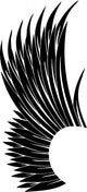 Wings Wall Mural