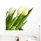 White Tulip Flower Wall Decal