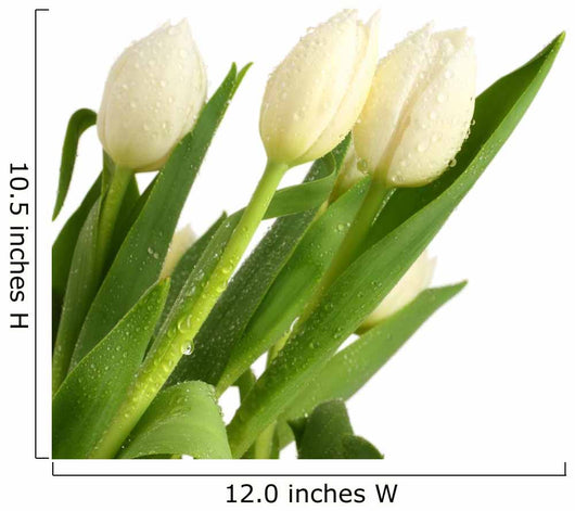 White Tulip Flower Wall Decal