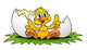 Easter Chick Birth Wall Mural