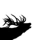 Stag Silhouette Calling Wall Decal