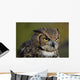 Eagle Owl Wall Mural