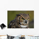 Eagle Owl Wall Mural