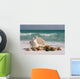 Shells on Floridas White Sand Beach Wall Mural