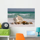 Shells on Floridas White Sand Beach Wall Mural