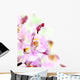 Orchid Border Wall Mural