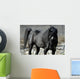s.fulmine - the black stallion Wall Mural