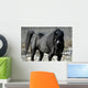 s.fulmine - the black stallion Wall Mural