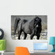 s.fulmine - the black stallion Wall Mural