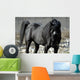 s.fulmine - the black stallion Wall Mural