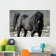 s.fulmine - the black stallion Wall Mural