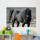 s.fulmine - the black stallion Wall Mural