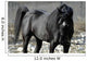 s.fulmine - the black stallion Wall Mural