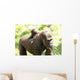 Gorillas Wall Mural