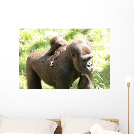 Gorillas Wall Mural