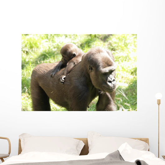 Gorillas Wall Mural