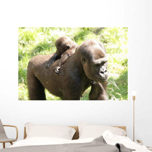 Gorillas Wall Mural