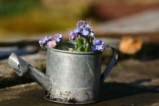 Watering Can Child Wall Decal