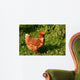 Hen Wall Mural