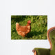 Hen Wall Mural