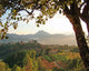 From Hill Wall Decal