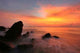 Tropical Rock Beach Silhouette Wall Decal