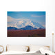 Mount Mc Kinley Wall Mural