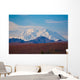 Mount Mc Kinley Wall Mural