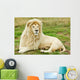 Male White Lion Wall Mural