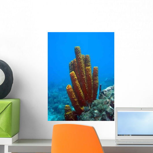 Sponge Wall Decal Design 1