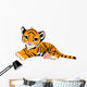 Little Tiger Cub Resting