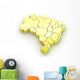Map Brazil Wall Decal