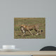 Cheetah Mit Beute Wall Mural