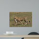 Cheetah Mit Beute Wall Mural