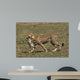 Cheetah Mit Beute Wall Mural