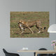 Cheetah Mit Beute Wall Mural