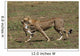 Cheetah Mit Beute Wall Mural