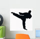 Sport Silhouette Karate Kick