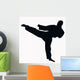 Sport Silhouette Karate Kick
