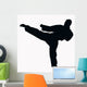 Sport Silhouette Karate Kick