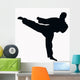 Sport Silhouette Karate Kick