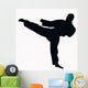 Sport Silhouette Karate Kick