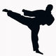Sport Silhouette Karate Kick