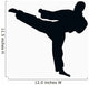 Sport Silhouette Karate Kick