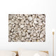 Rocks