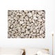 Rocks