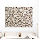 Rocks
