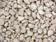 Rocks