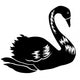 Abstract Black Swan Wall Decal